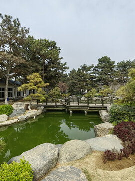 唐苑內(nèi)景