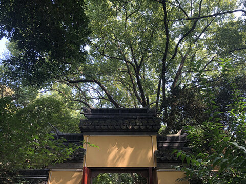 黃墻門(mén)樓