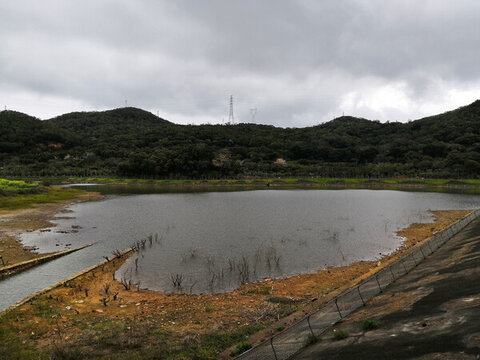 南澳白鷺生態(tài)公園