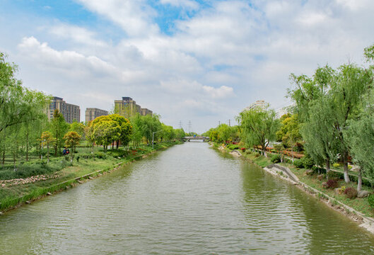 郊野河道綠化帶