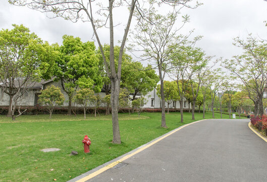 園林小道