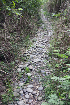 坎坷路