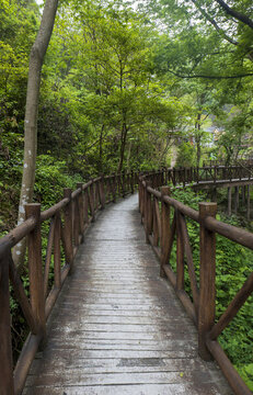 景區(qū)棧道