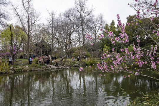 蘇州掘政園古典園林風光