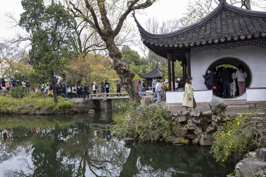 蘇州掘政園古典園林風(fēng)光