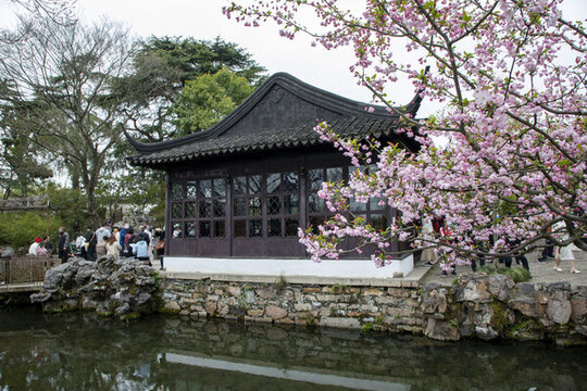 蘇州掘政園古典園林風光