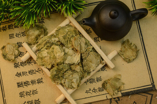 啤酒花
