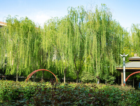 公園一角