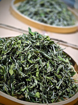 白牡丹茶