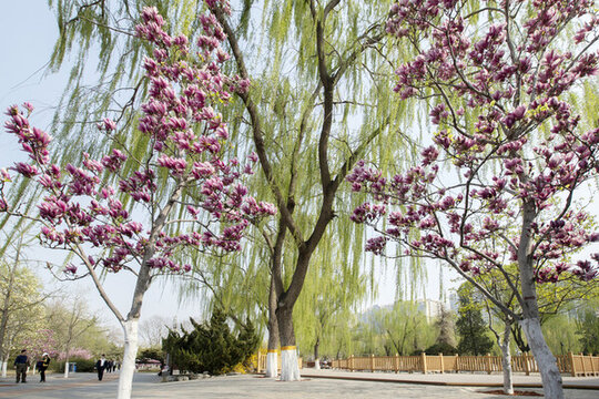 北京國際雕塑公園