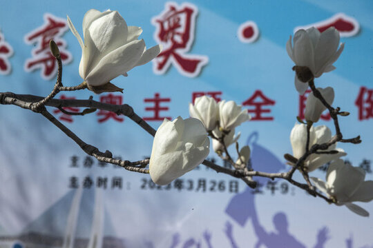 北京國際雕塑公園