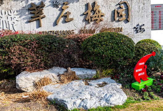 上海莘莊梅園春天梅花