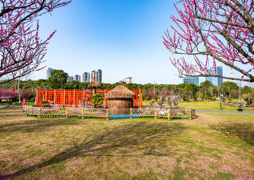 上海莘莊梅園春天梅花