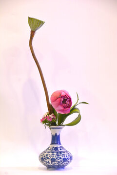 蓮蓬插花
