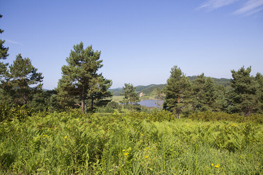遠(yuǎn)山湖水草地樹林