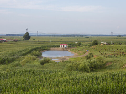 村莊湖水草地藍(lán)天