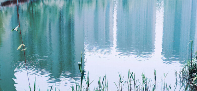 河水蕩漾