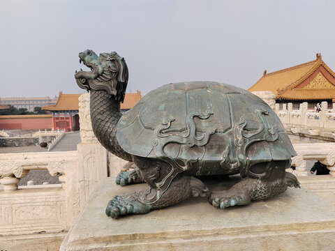 金龜