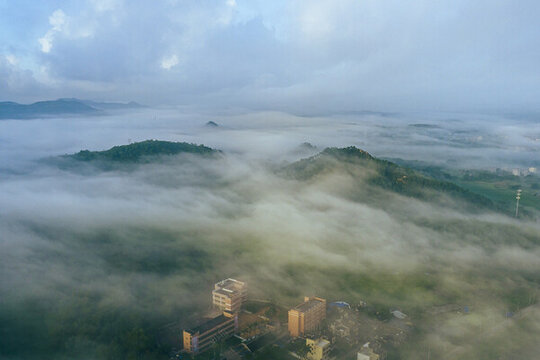 霧里的風(fēng)景