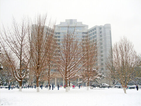 北京理工大學校園雪景