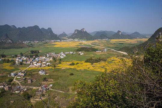 稻田自然風景