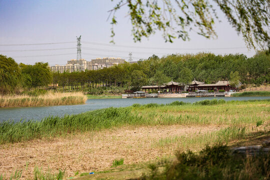 郊野公園