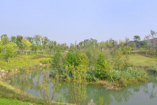 東安湖公園西江河園林水景