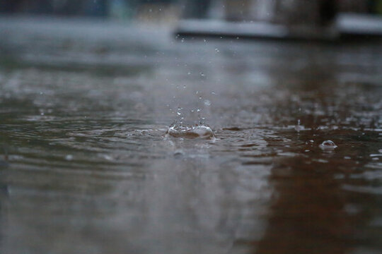 春雨綿綿水滴凝固