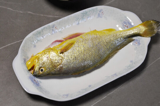 黃魚