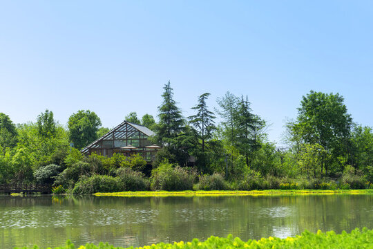 公園草坪河邊池塘草地