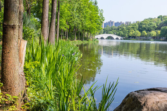 水景園林