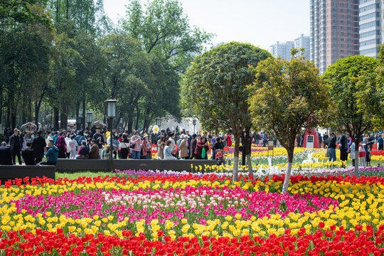 西安興慶宮公園