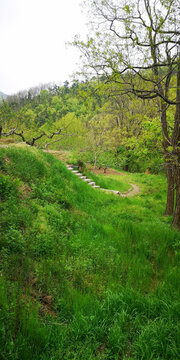 山區(qū)小路