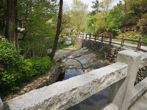 石橋