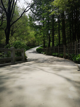 鄉(xiāng)村小路