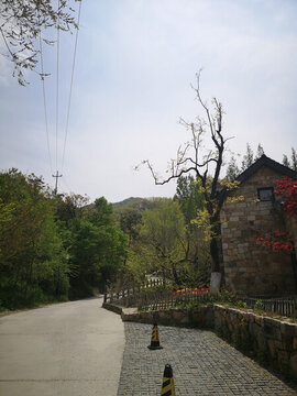 農(nóng)村小路