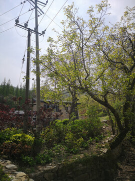 山溝溝