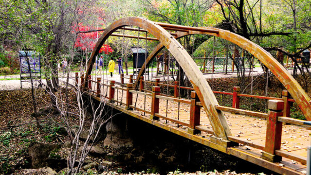 木橋