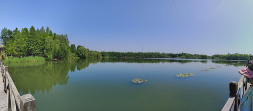 溱湖風(fēng)景區(qū)濕地公園水景全景