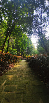 公園步道