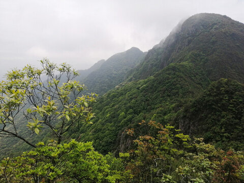 陰那山