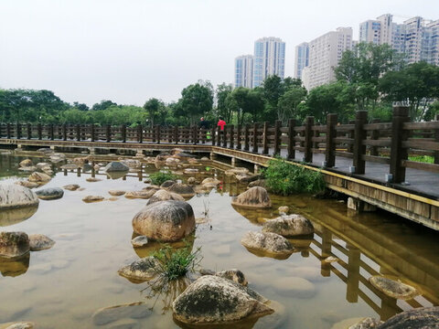 龍巖龍津湖