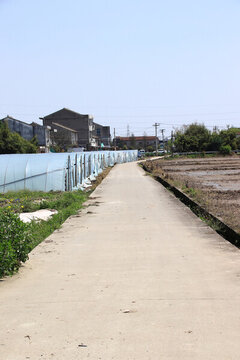 鄉(xiāng)村道路
