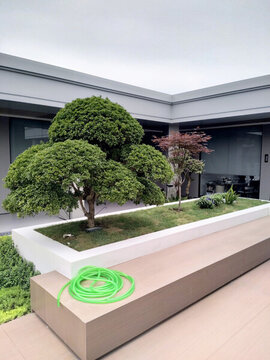 花園