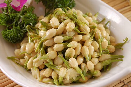 巧拌茉莉花
