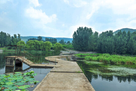 濕地公園水壩
