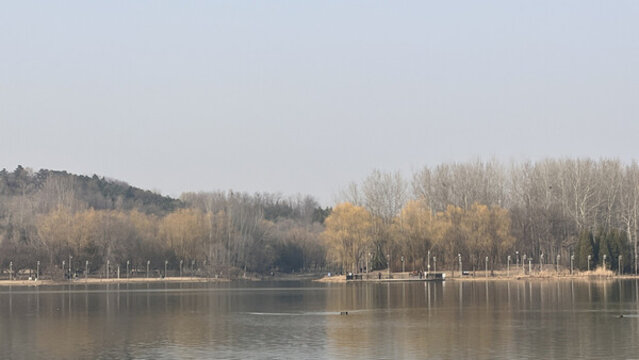 早春公園湖邊