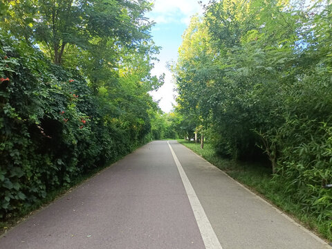 小路