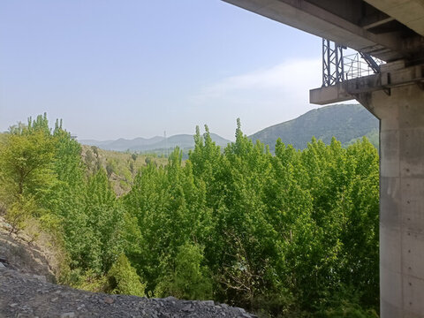 高架橋下