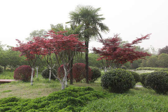 公園園林
